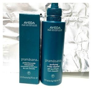 Aveda pramasana scalp treatment.